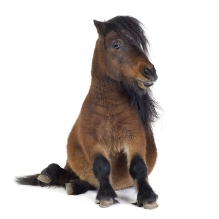 Benefits – Don’t Be a One Trick Pony Like UKIP