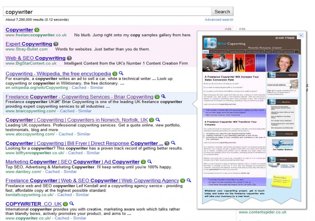 Google Instant Preview